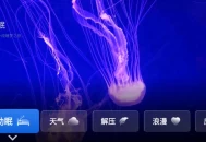 任意窗TV v2.5.1067 动态氛围 沉浸式体验