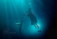 颁奖季热门奇幻电影：《水形物语》高清版