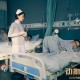 《动物世界》高清1080P已出，原著漫画《赌博默示录》