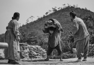《兹山鱼谱》一个朝鲜士大夫的孤岛流放生活，评分8.7