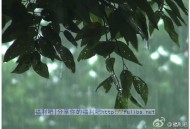 网站推荐，身心放松一下，calm