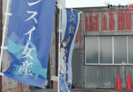 SOD猎奇新作：《东京大江戸女港市場》渔获变成女人会怎么样？